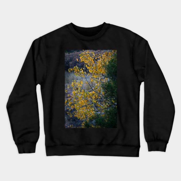 Texas Fall Crewneck Sweatshirt by jonesing